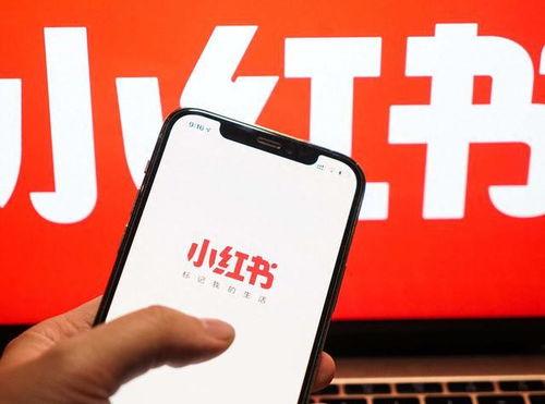 小红书最新爆料信息,明星私生活大揭秘,幕后故事令人震惊